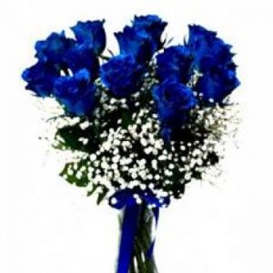 mavi gül-gül-yenimahalle-çiçek-çiçekçi-sipariş-ankara-mavigüller