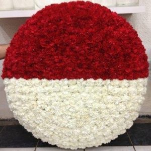 yenimahalle-MOZALE karanfil-kırmızı karanfil-çiçekçi-ankara