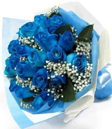 yenimahalle-çiçek-çiçekçi-çiçekçilik-segiliye15 mavi gül-ankara-